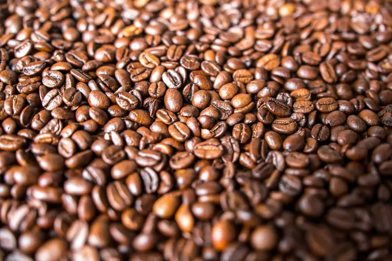Green, Roasted & Ground Coffee Products