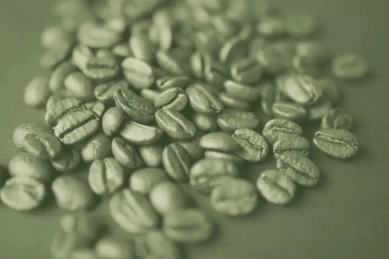 Green, Roasted & Ground Coffee Products